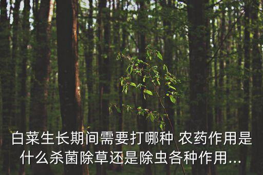 蔬菜打的農(nóng)藥是什么肥效,蔬菜不能打的農(nóng)藥