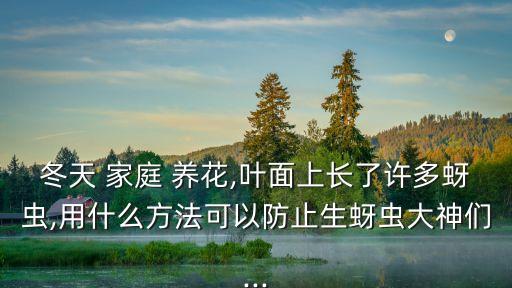 冬天 家庭 養花,葉面上長了許多蚜蟲,用什么方法可以防止生蚜蟲大神們...