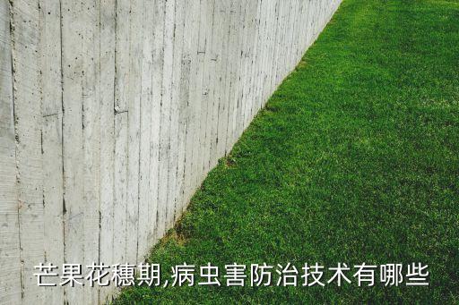 芒果蚧殼蟲用什么藥,芒果介殼蟲打什么農(nóng)藥