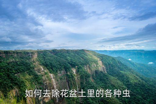 家庭養(yǎng)花用什么農(nóng)藥殺蟲,殺蟲雙可以配什么農(nóng)藥