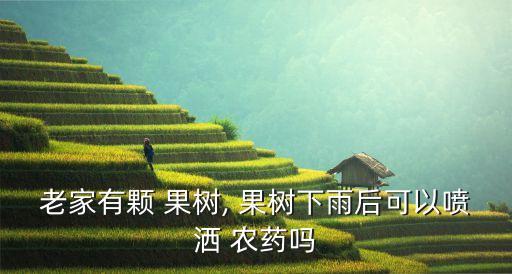 果樹什么天氣打農藥好,果樹用什么農藥催花