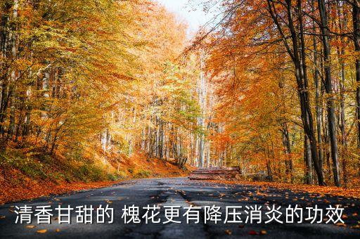 清香甘甜的 槐花更有降壓消炎的功效