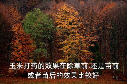  玉米打藥的效果在除草前,還是苗前或者苗后的效果比較好