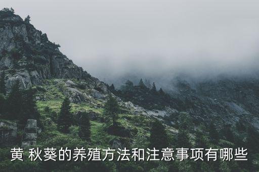 秋葵用什么農藥拌種好,秋葵打什么農藥