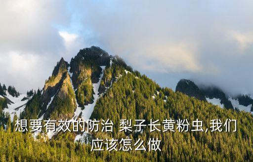 梨子應(yīng)噴什么農(nóng)藥最好,梨子打什么農(nóng)藥