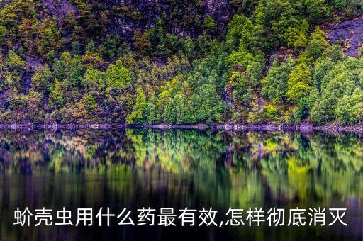 介殼蟲首選農(nóng)藥是什么,長壽花介殼蟲是什么樣的