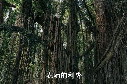 吃農藥有什么危害,長期吃有農藥菜的危害