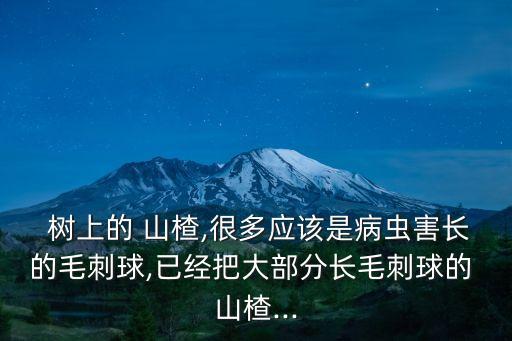 山楂樹(shù)上噴什么農(nóng)藥好呢,春季山楂樹(shù)打什么農(nóng)藥