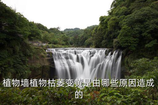 吡噻菌胺是什么農藥,噻蟲胺是什么作用