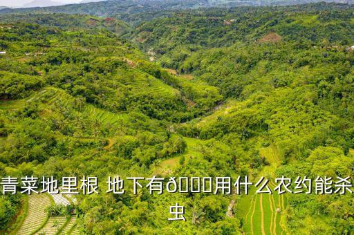 地下用什么農(nóng)藥最好,除地下害蟲哪種農(nóng)藥最好