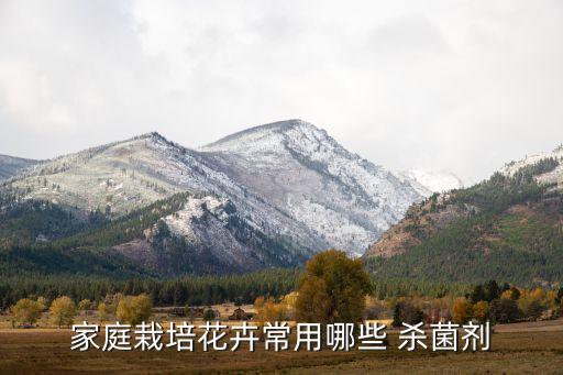 家庭栽培花卉常用哪些 殺菌劑
