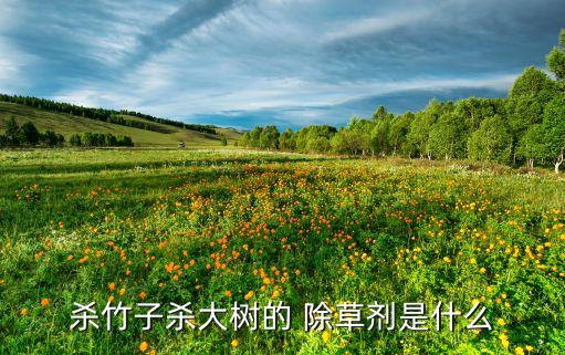 殺竹子殺大樹的 除草劑是什么