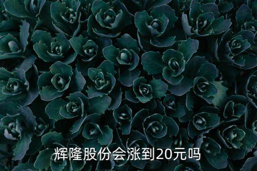 輝隆股份會漲到20元嗎