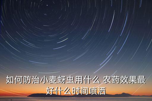 如何防治小麥蚜蟲用什么 農藥效果最好什么時間噴灑