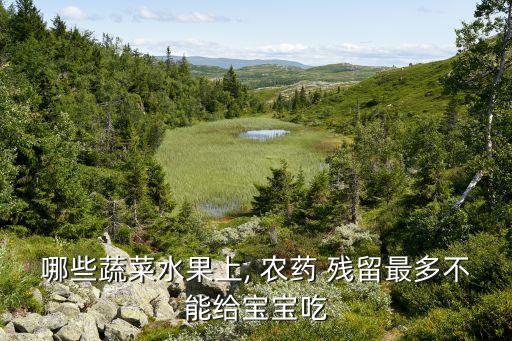 哪些蔬菜水果上, 農藥 殘留最多不能給寶寶吃