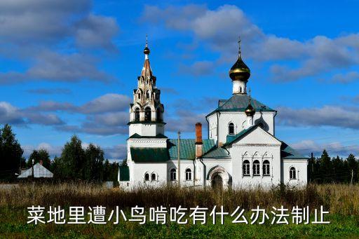 菜地里遭小鳥啃吃有什么辦法制止