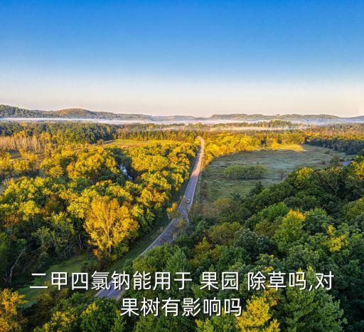 果園除草噴什么農藥好,苗圃除草用什么農藥