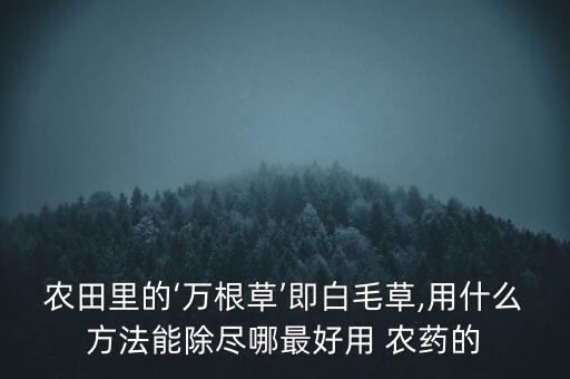農田里的‘萬根草’即白毛草,用什么方法能除盡哪最好用 農藥的