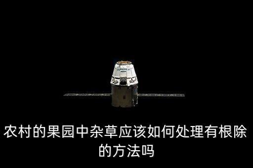 雪草用什么農藥,什么農藥能把草徹底殺死