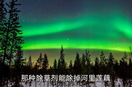 藕種用什么農(nóng)藥打死它,有沒有什么農(nóng)藥能把大樹打死