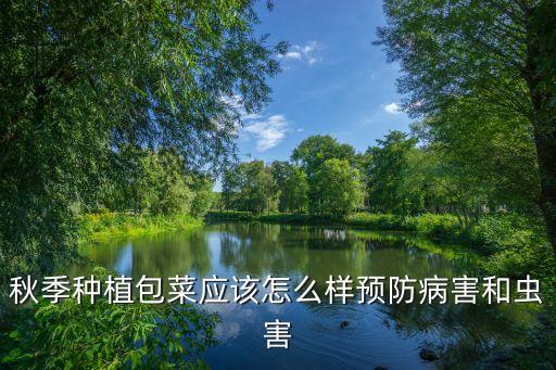 包心菜長蟲用什么農(nóng)藥,土里長蟲用什么農(nóng)藥