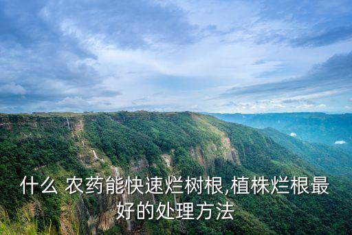 什么 農藥能快速爛樹根,植株爛根最好的處理方法