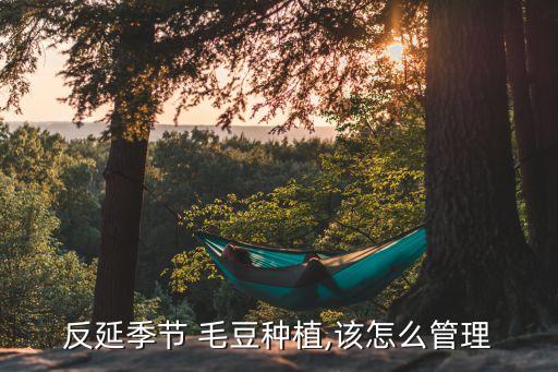 反延季節 毛豆種植,該怎么管理