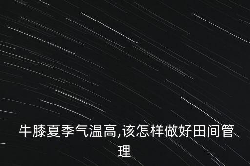 牛膝種植怕什么農藥殘留