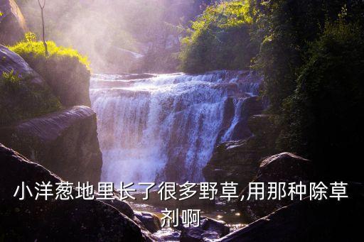 益母草用什么農藥打,打益母草有什么作用