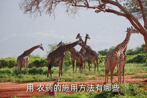 ,農藥樓盤種什么植物