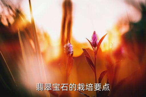 翠貝農藥制什么病,碧翠農藥可以治療什么