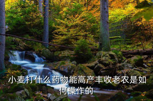 小麥目前打什么農藥好,辦小麥種用什么農藥