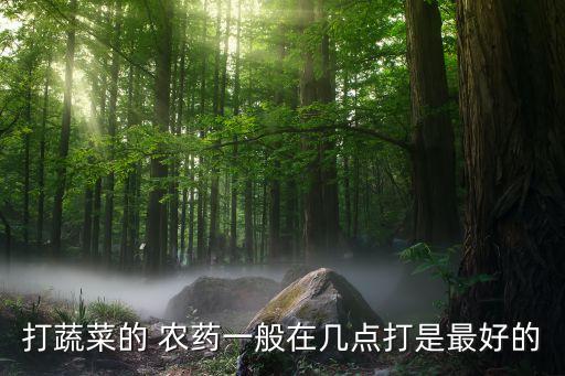 打蔬菜的 農藥一般在幾點打是最好的