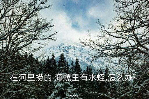 在河里撈的 海螺里有水蛭,怎么辦~~~