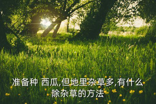 西瓜藤打什么農藥,西瓜需要打農藥嗎
