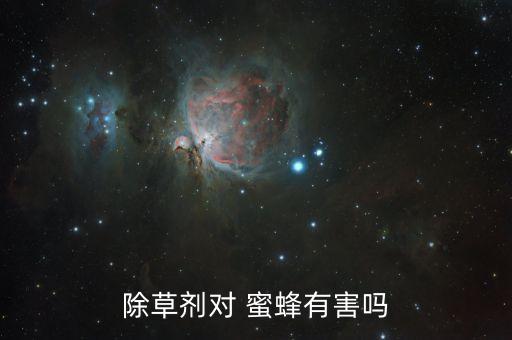 什么樣農(nóng)藥最傷害蜜蜂,農(nóng)藥傷害的是人的什么器官