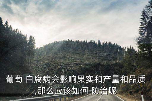 白腐病用什么農(nóng)藥防治