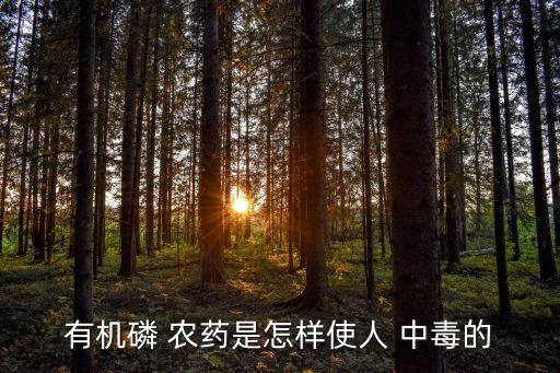 農藥為什么引起中毒,能引起慢性中毒的農藥是