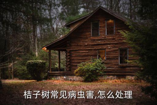 橘子打什么農藥治蟲,橘子需要打農藥嗎