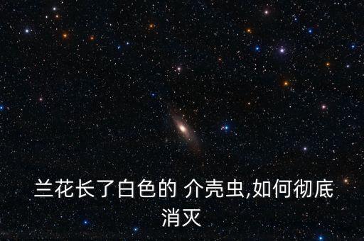 蘭花長了白色的 介殼蟲,如何徹底消滅