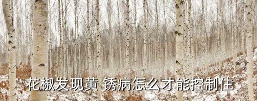 花椒得銹病打什么農藥,白銹病用什么農藥