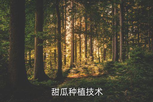 甜瓜開花坐果打什么農藥,厚皮甜瓜開花坐果期最適溫度
