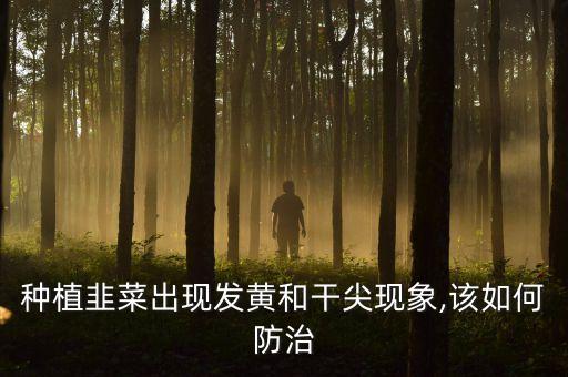 韭黃打什么農藥,韭黃有沒有農藥