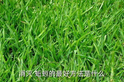 消滅 蚯蚓的最好方法是什么