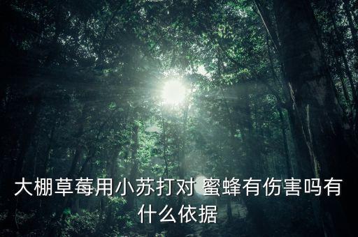 大棚草莓用小蘇打對 蜜蜂有傷害嗎有什么依據