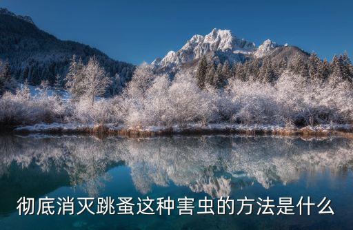 徹底消滅跳蚤這種害蟲的方法是什么