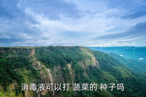 蔬菜種子用什么農(nóng)藥,賣蔬菜種子需要什么手續(xù)