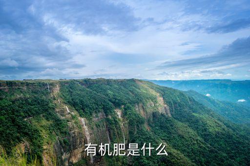 什么肥料是有機農藥成分,肥料中添加農藥按照什么處理