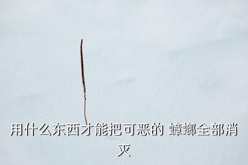 殺蟑螂蟲卵用什么農(nóng)藥最好
