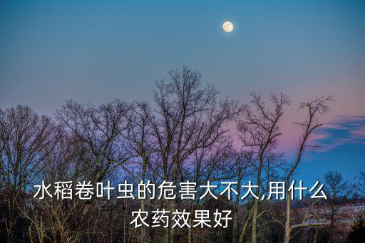 水稻卷葉蟲的危害大不大,用什么 農藥效果好